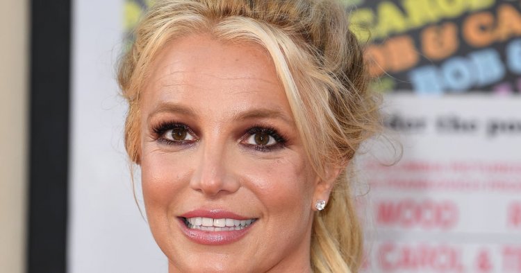 Britney Spears Has a New Shepherd Named Sawyer: "I Found Him in Maui Like a Dream"