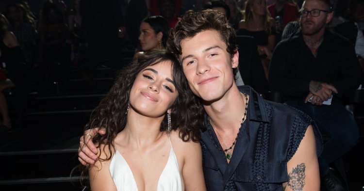 Camila Cabello Confirms Her New Song, "Bam Bam," Is About Shawn Mendes