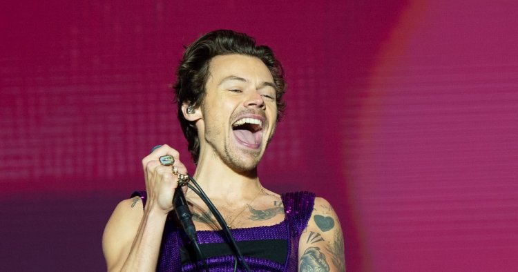 There Is Now a College Course Completely Dedicated to Harry Styles